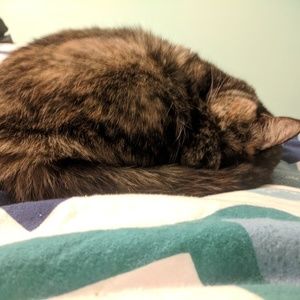 Meet your Posher, Mallory